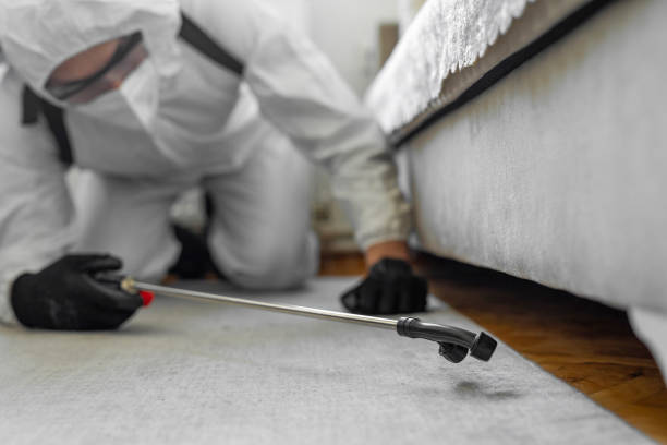 Professional Emergency Pest Control technician working in Kenai Peninsula Borough County, AK